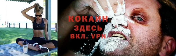 стаф Зерноград
