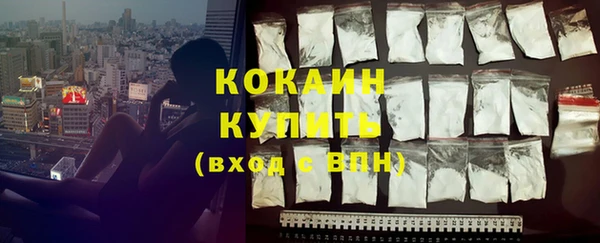 стаф Зерноград