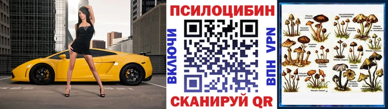 Купить  Шебекино  Псилоцибиновые грибы Psilocybe 
